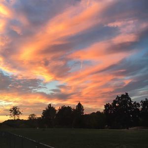 Meet your Posher, Anne